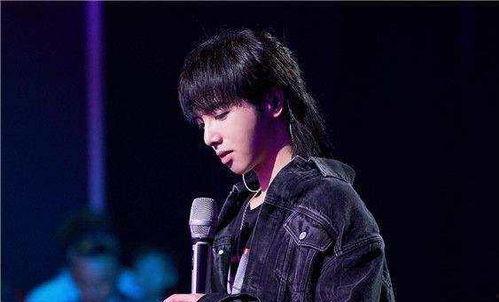 娱乐圈吃瓜华晨宇是谁,娱乐圈吃瓜界的焦点人物